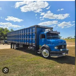 GOVERNADOR VALADARES MG AGRONEGÓCIOS 🐎🐂🐄 JAMANTA VENDAS