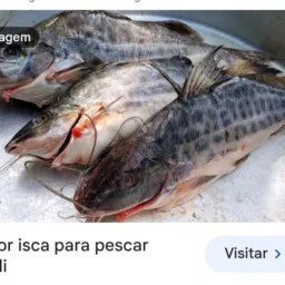 Fofocas da Zam