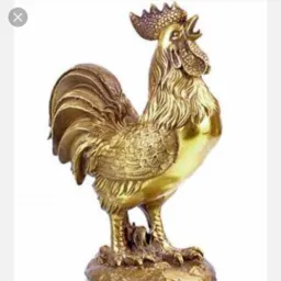 GALO🐔 DE OURO e PRATA 💍⛓️