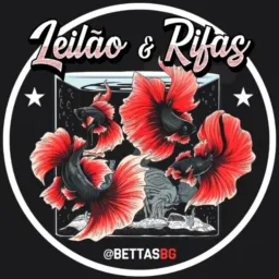 Leilão BettasBG