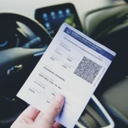 Pedro Despachante 🚗🚌🏍️🚜📑⚖️