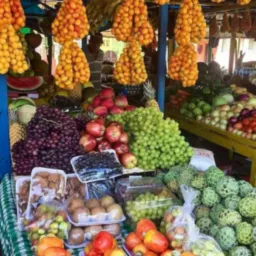 FEIRA ONLINE DE GOIATINS