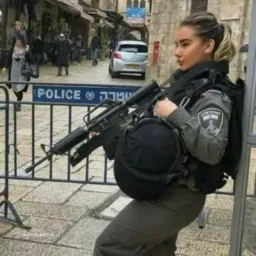 Plantão dê notícia da r🚔🚔