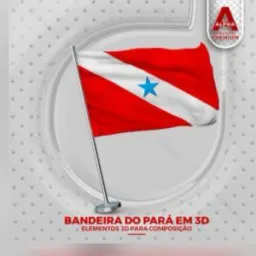 PATRIOTA PARA SERRA 02