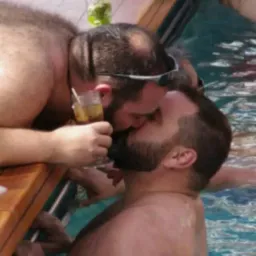 GUERRA dos URSOS 🐻🐼🎼