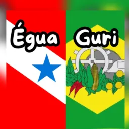 ✅❤️Paraenses EM Santa Catarina❤️✅Vendas(BN&SL) ✅🤩