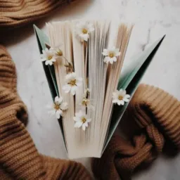 CLUBE DE LEITURA 📚🧙🏼‍♂️