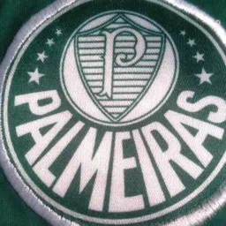 GRUPO PALMEIRAS