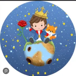 Pequeno príncipe bazar infantil