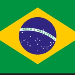 ELEITORES DE DIREITA