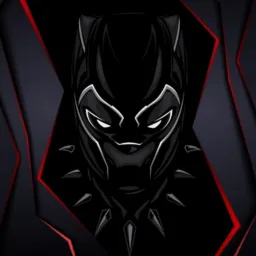 Os Black Panthers 🌑