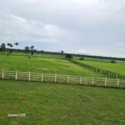 🌱Agro Pacheco corretor- compras e vendas Fazendas no Brasil 🇧🇷🇧🇷🇧🇷🇧🇷🇧🇷