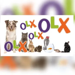 OLX Animal 🦆🪿🐠🐕🐈🦜🦚🐓🦃🐇🐖🐐