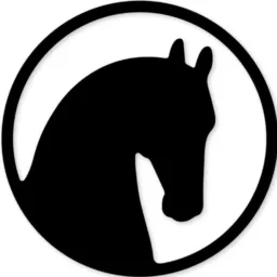 CAVALOS E GADOS - REGIÃO GOIÁS 🐎