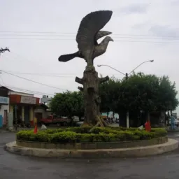 OLX, vendas Uruaçu