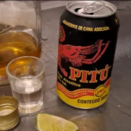 Galera da farra