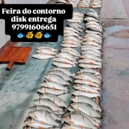 FEIRA DO CONTORNO 🐠🐟