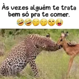 😂Memes😂 mundias 👑