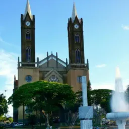 🚨VENDAS E TROCAS VOTUPORANGA-SP