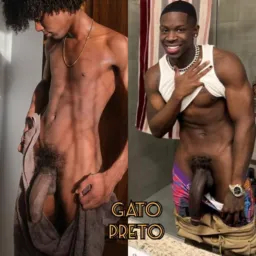 GATO PRETO 🐈⬛