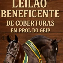 LEILÃO COBERTURAS - GEIP