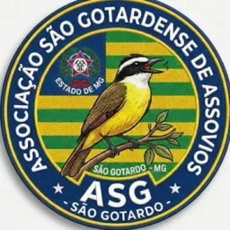 ASSOVIOS 034 SG