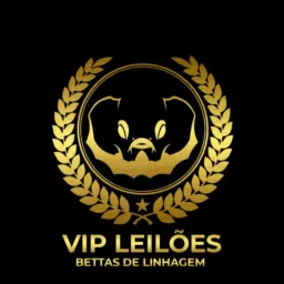 Leilão vip