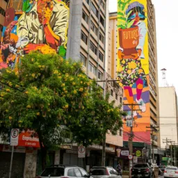 MG DIVULGAÇÃO GOIÂNIA 🌻