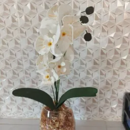 Taciana variedades