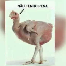 100% de TUDO UM POUCO!!