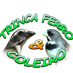 Venda ou rolo passarinho