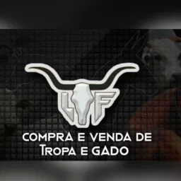 🐂🐎LF VENDA DE TROPA🏇🐄