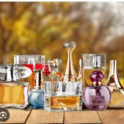 OLX DOS PERFUMES MPU