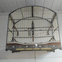 Só venda de gaiola