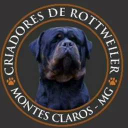 🇩🇪VENDA DE ROTTWEILER🇩🇪