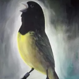 🐦 PÁSSAROS CARIACICA 🐦 027