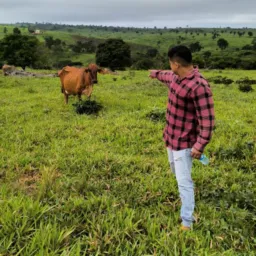 GildeCastro. AGRONEGOCIOS🐄🛫🏍️🚜🚚🚗🏠