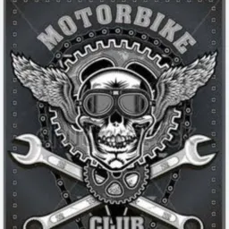 free lance moto clube 13