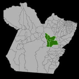 Notícias e vendas Portel Pará