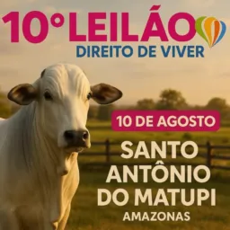Leilão Virtual Matupí