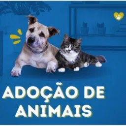 🦮DOAÇÕES DE ANIMAIS BREVES 🐈