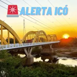NOTÍCIAS 24h 🚨