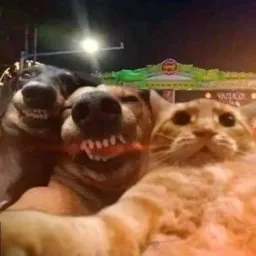 OS LOUCOS EM AÇÃO 😂😂🔥