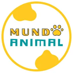 Mundo Animal 01