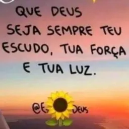 Vendas mais barato da cidade (LABREA)