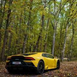 Carro vendas.,??