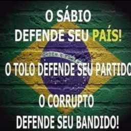 BOLSONARISTA  RAIZ
