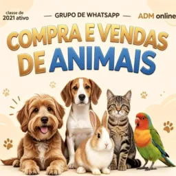 VENDAS, COMPRAS, TROCAS E DOAÇÕES (SÃO LUIS-MA)