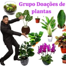 DOAÇÕES DE PLANTAS DOM ELISEU