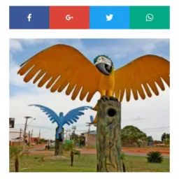 Desapega bairro vila são jão 🇧🇷